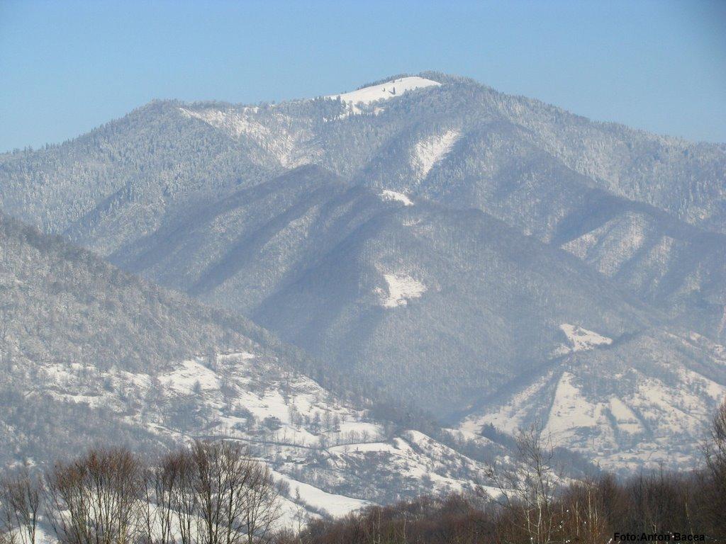 Хмелів з panoramio.com - Хмелів