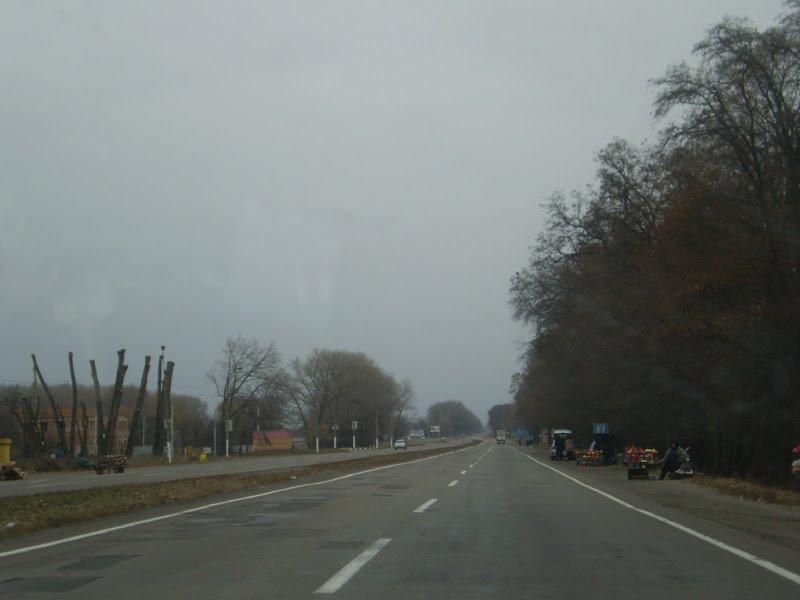 Ягідне з panoramio.com - Ягідне