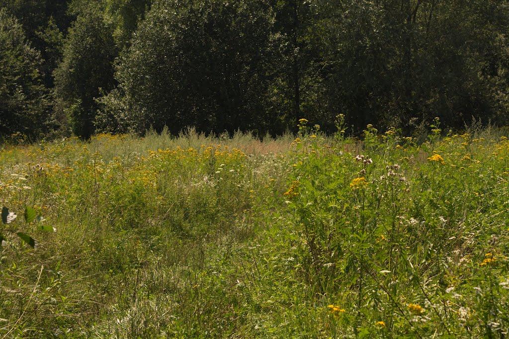 Соболівка з panoramio.com - Соболівка