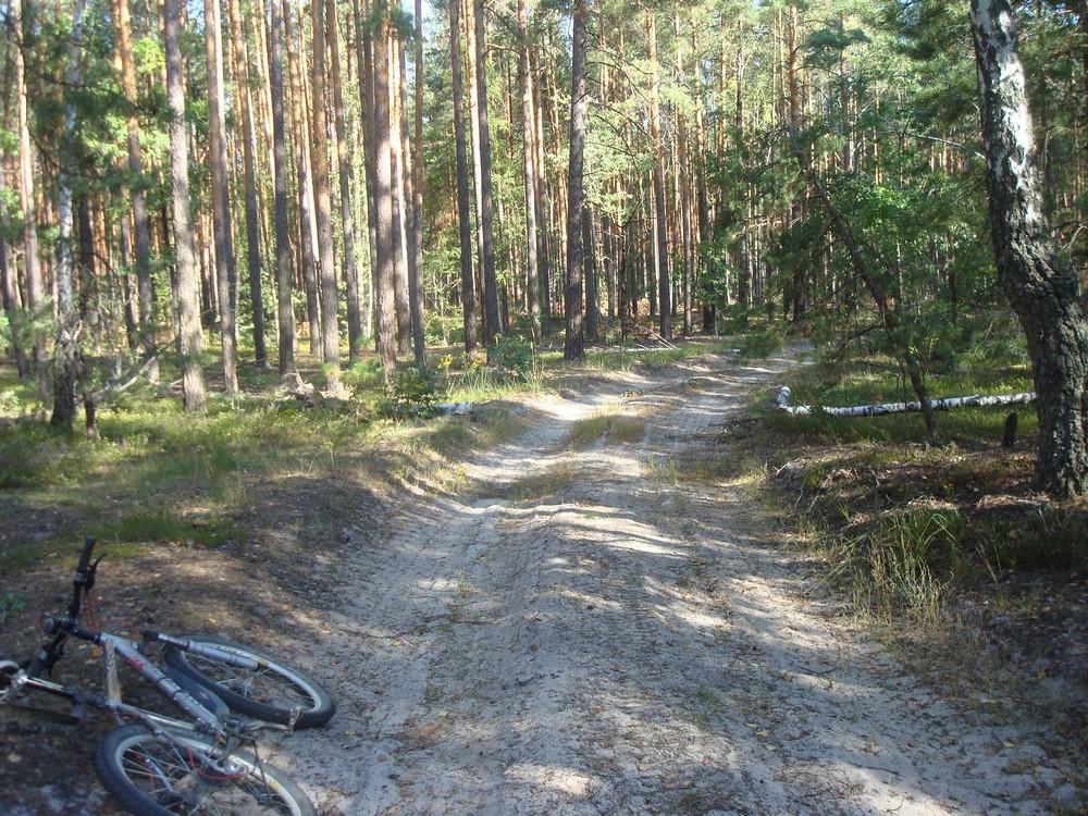 Бондарня з panoramio.com - Бондарня