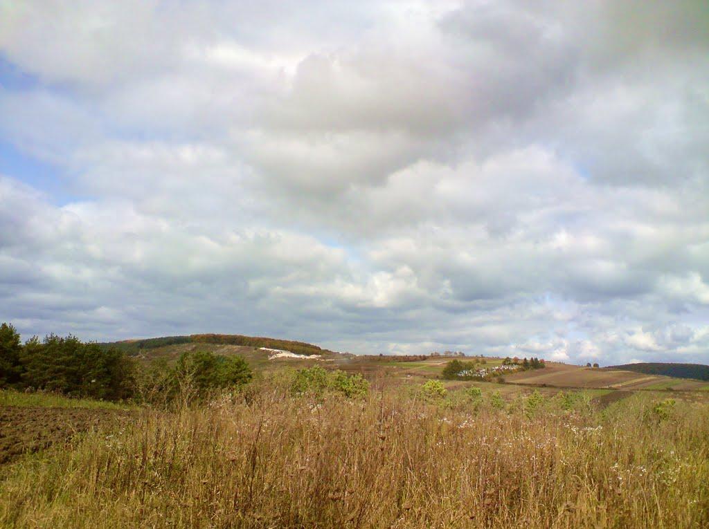 Куряни з panoramio.com - Куряны