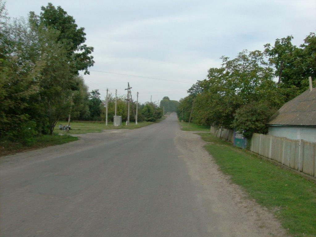 Серебрія з panoramio.com - Серебрія