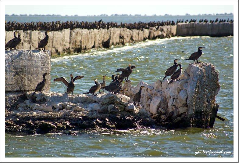 Очаків з panoramio.com - Очаков