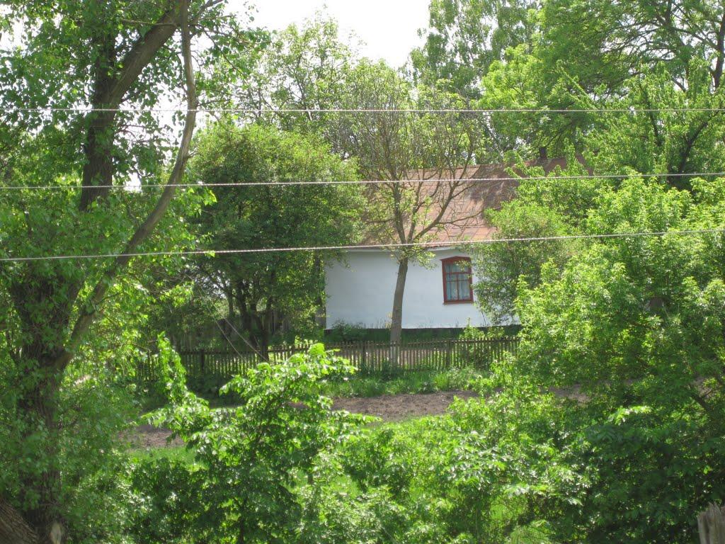 Мислятин з panoramio.com - Мыслятин