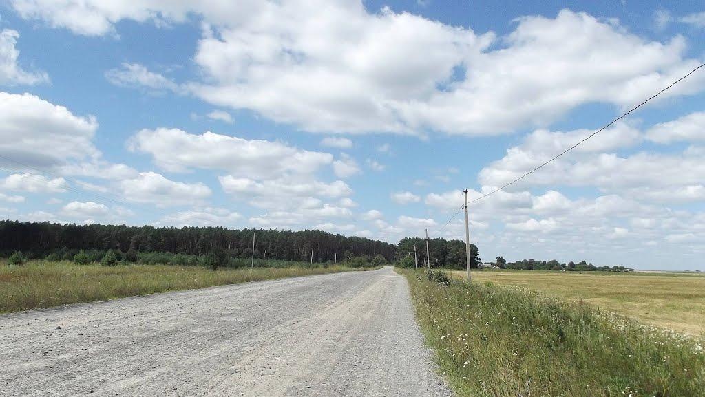 Копачівка з panoramio.com - Копачівка