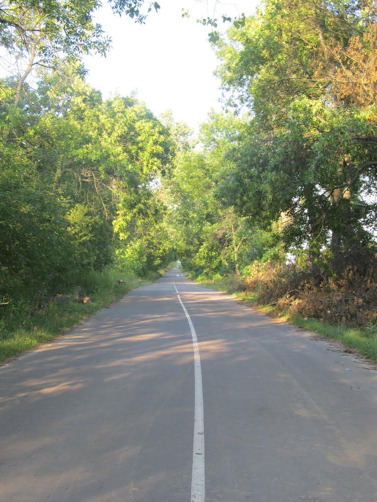 Клопіт з panoramio.com - Клопіт