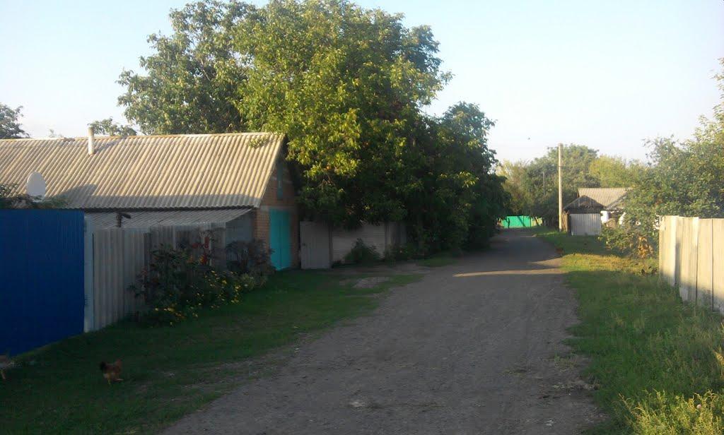 Филенкове з panoramio.com - Филенково