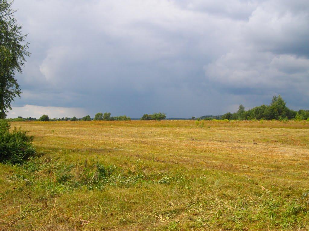 Гайове з panoramio.com - Гайове