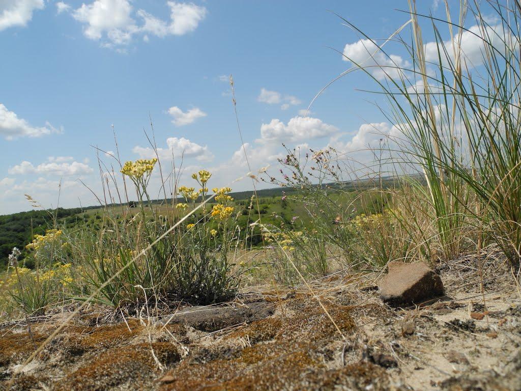Кружилівка з panoramio.com - Кружиловка