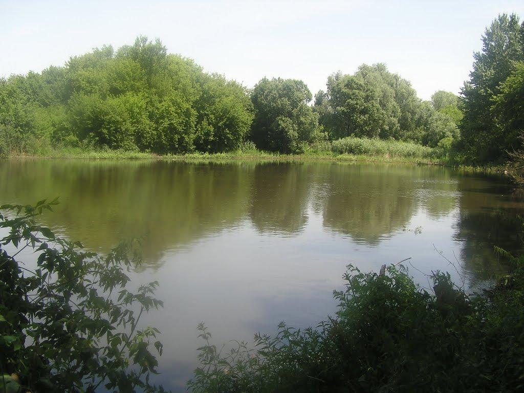 Черванівка з panoramio.com - Черванівка