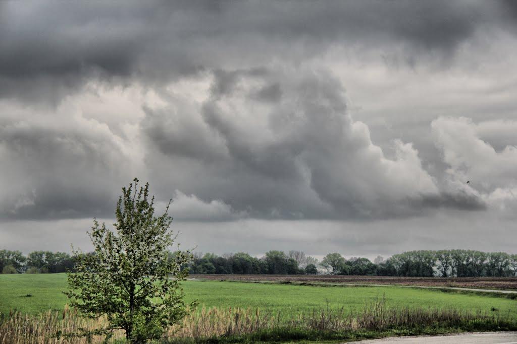 Волошинівка з panoramio.com - Волошиновка