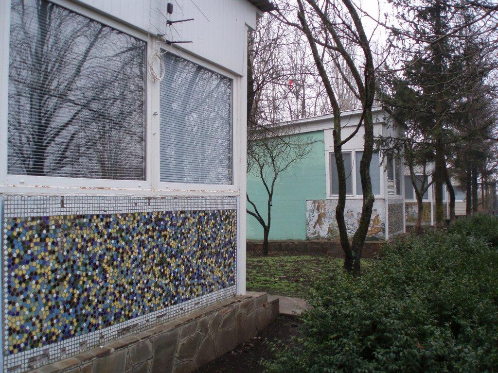 Новохортиця з panoramio.com - Новохортица