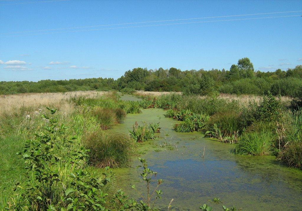 Острів'я з panoramio.com - Острів'я