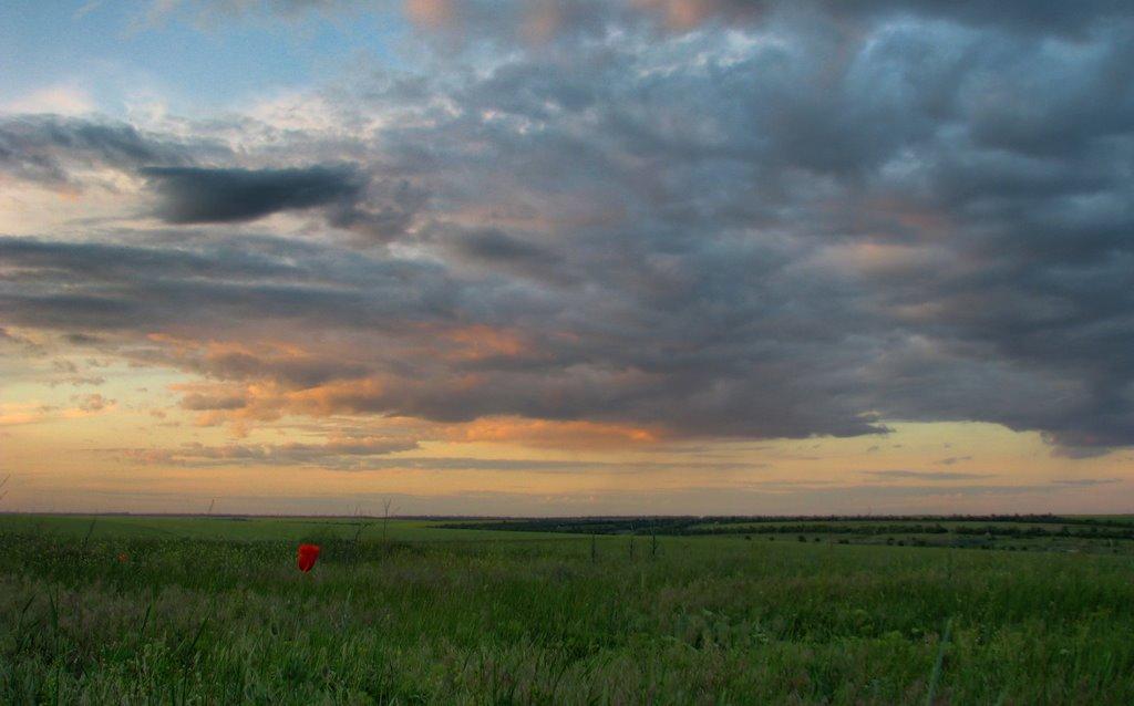 Світле з panoramio.com - Светлое