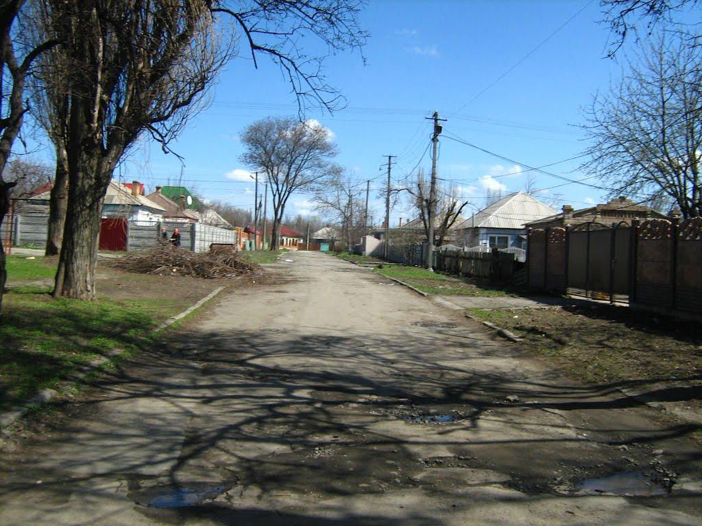 Кам'яне Поле з panoramio.com - Kamyane Pole