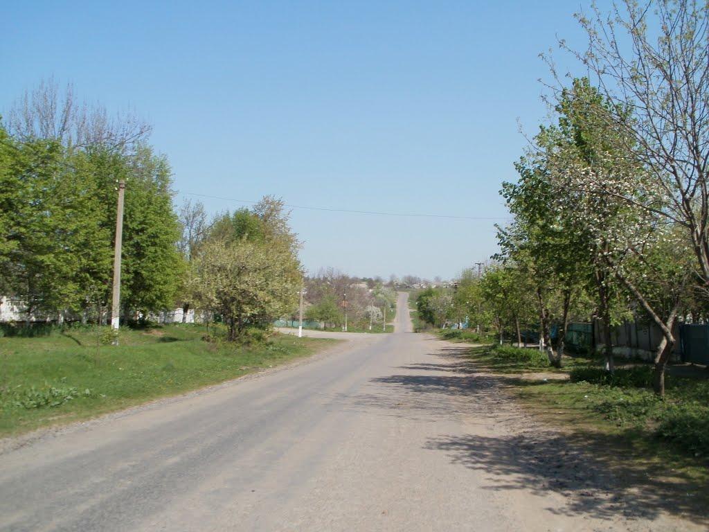 Четвертинівка з panoramio.com - Четвертинівка