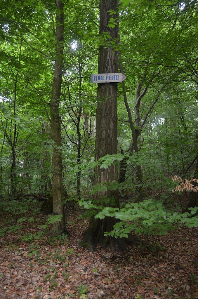 Козулька з panoramio.com - Козулька