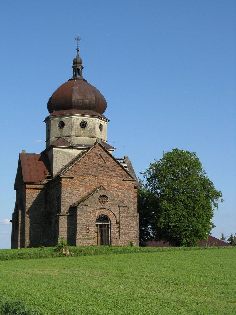 Биків з panoramio.com - Быков