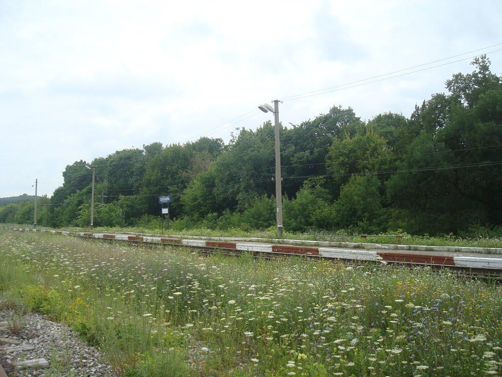 Сахкамінь з panoramio.com - Сахкамень