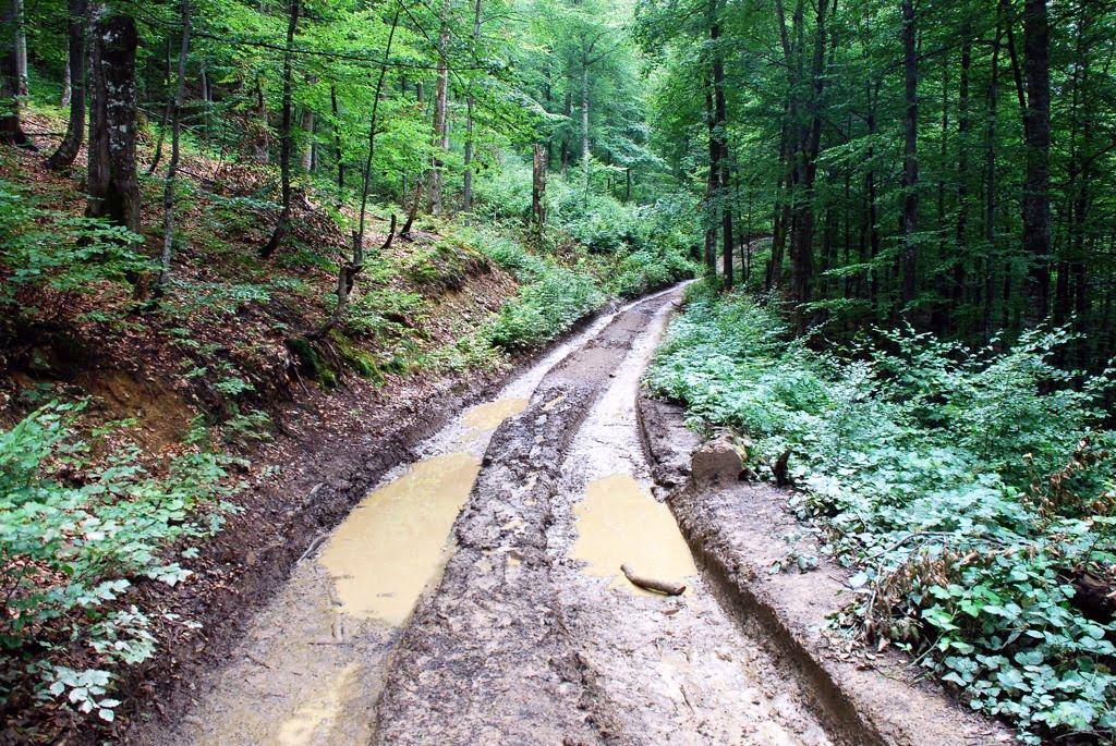 Усть-Чорна з panoramio.com - Усть-Чорна