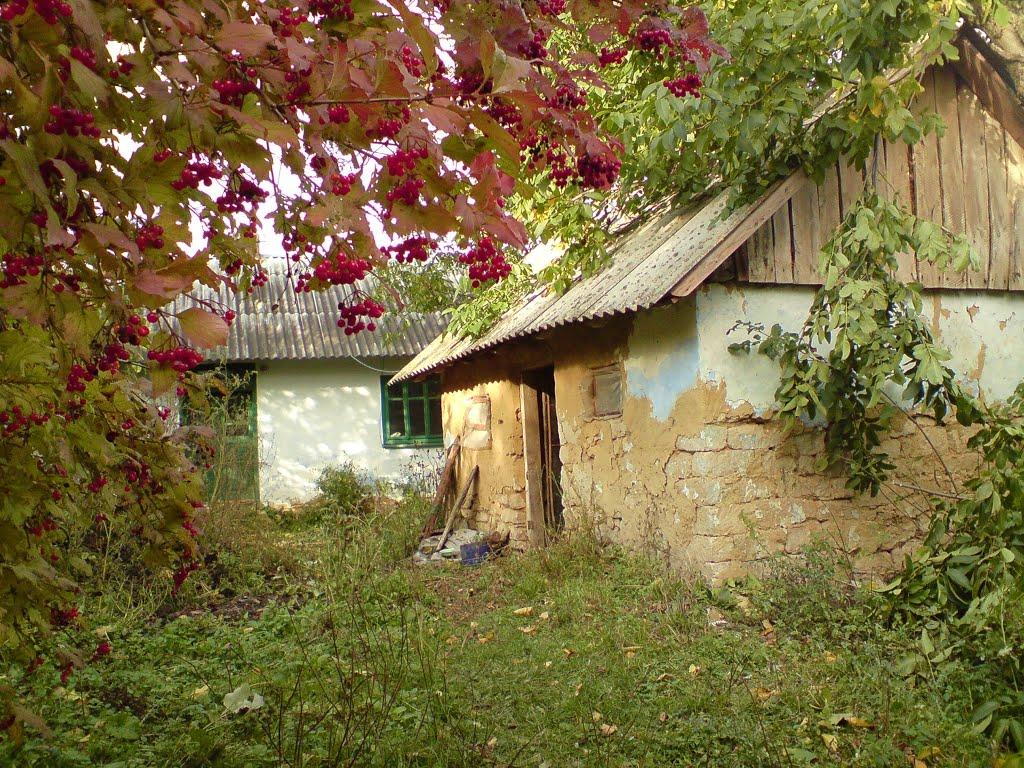 Дуляби з panoramio.com - Дулябы