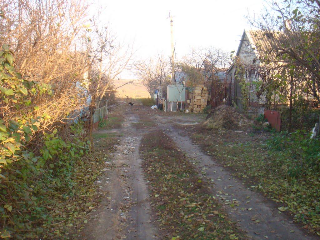 Переможне з panoramio.com - Переможное