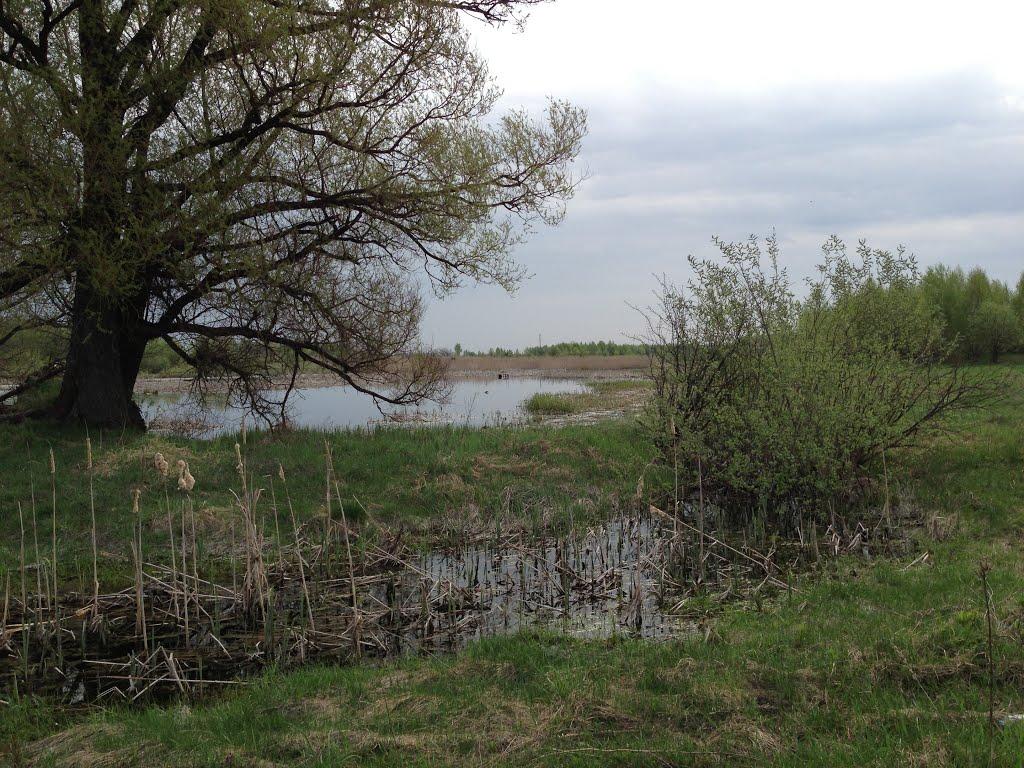 Фасова з panoramio.com - Фасовая