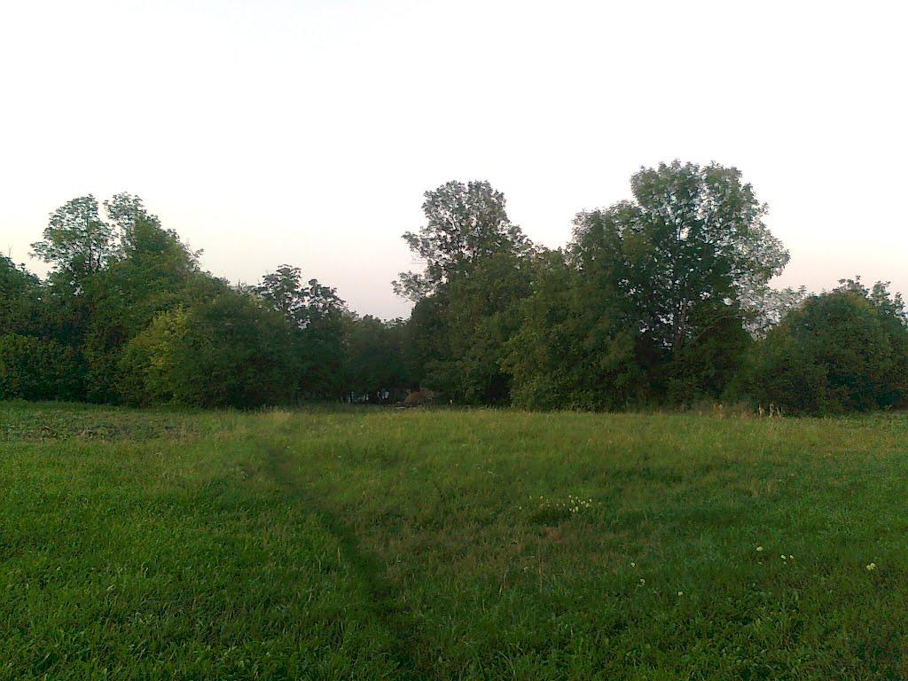 Андрушівка з panoramio.com - Андрушівка