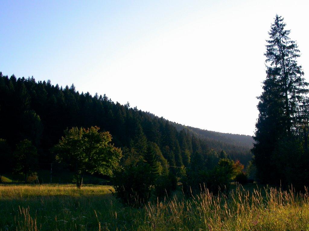 Фальків з panoramio.com (ч.2) - Фальків