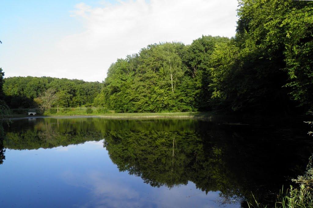 Воротнів з panoramio.com - Vorotniv