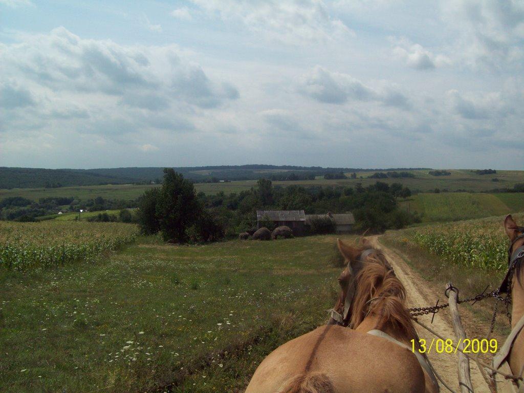Могилівка з panoramio.com - Могилевка