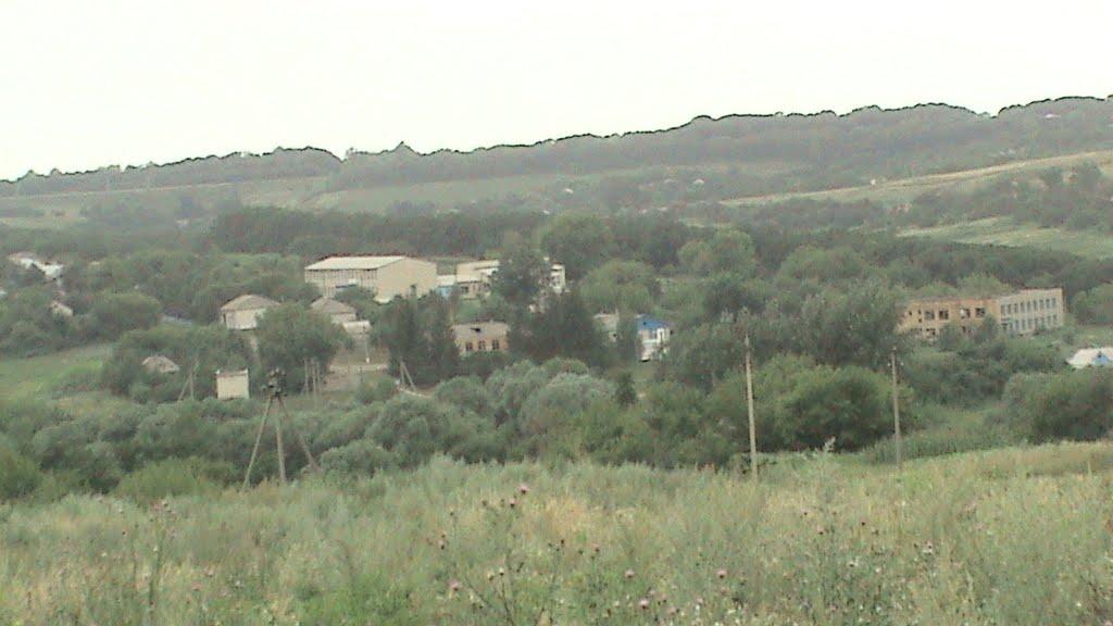 Куземівка з panoramio.com - Куземівка