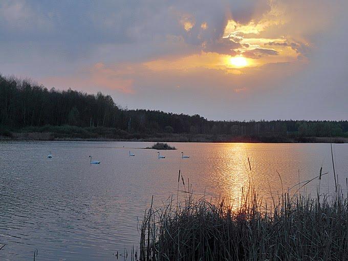 Красна Лука з panoramio.com - Красная Лука