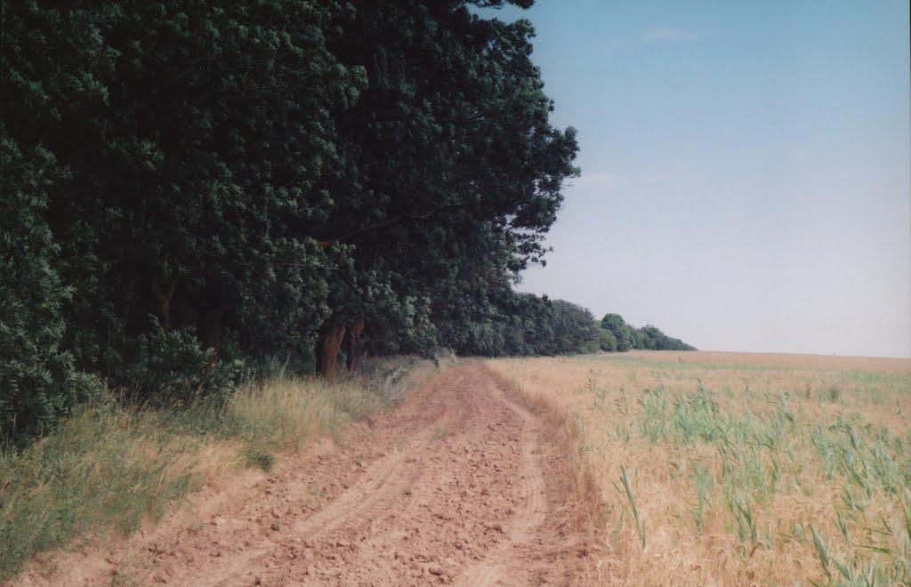Набережне з panoramio.com - Набережное