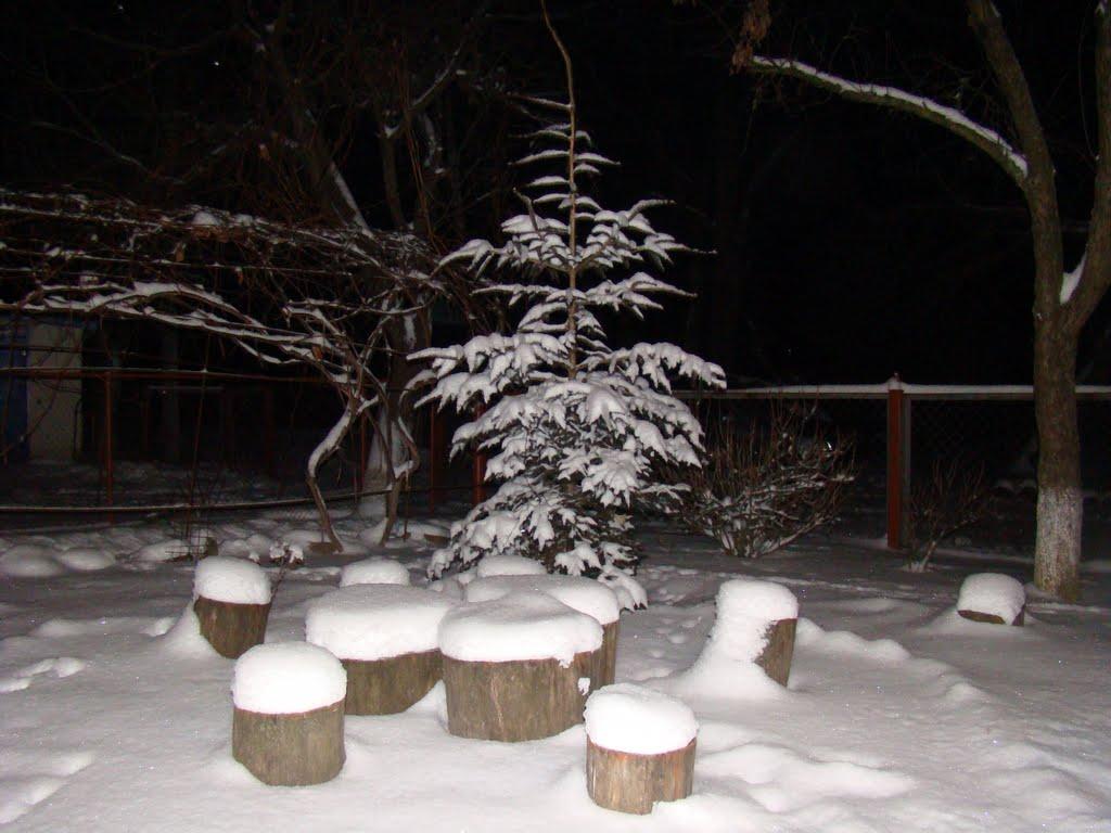 Володарка з panoramio.com - Володарка