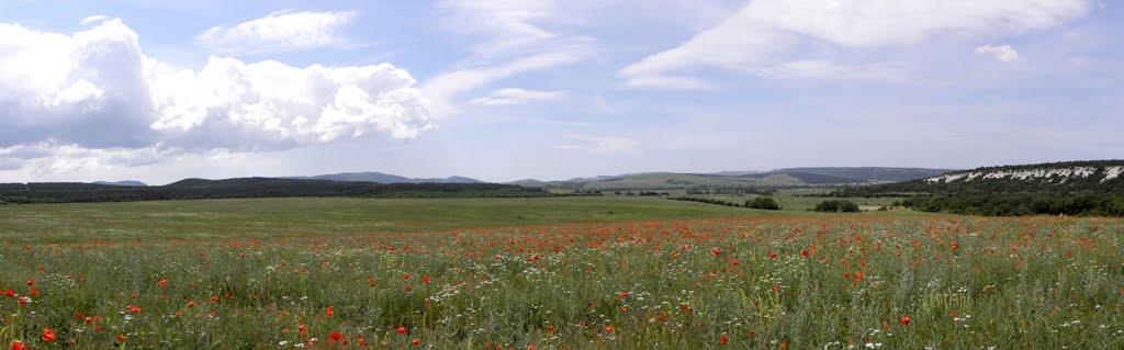 Інкерман з panoramio.com - Инкерман