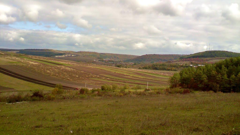 Куряни з panoramio.com - Куряни