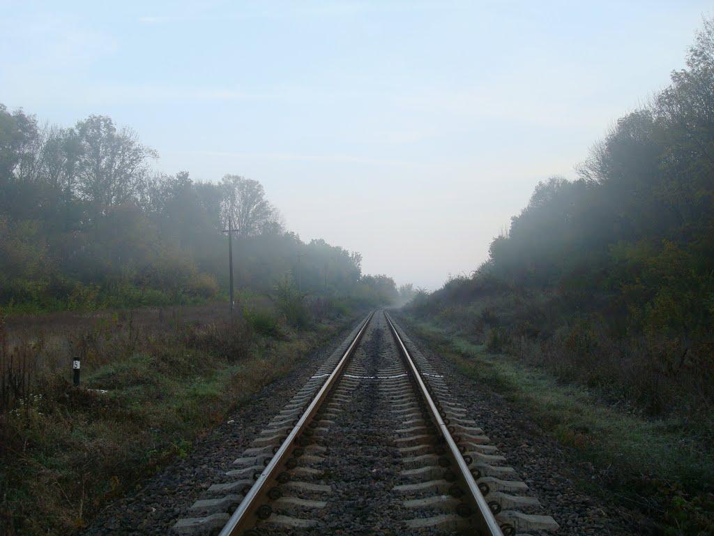 Городок з panoramio.com - Городок