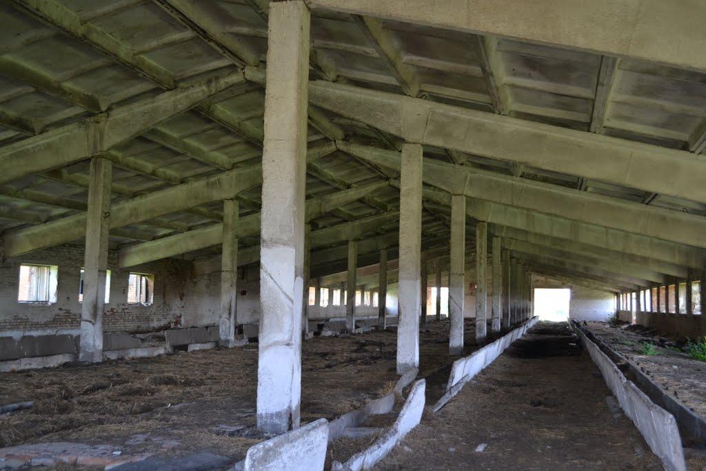 Лисянка з panoramio.com - Лисянка