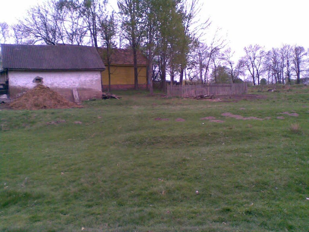 Старі Велідники з panoramio.com - Старі Велідники