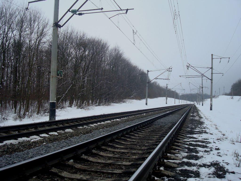 Березове з panoramio.com - Berezove