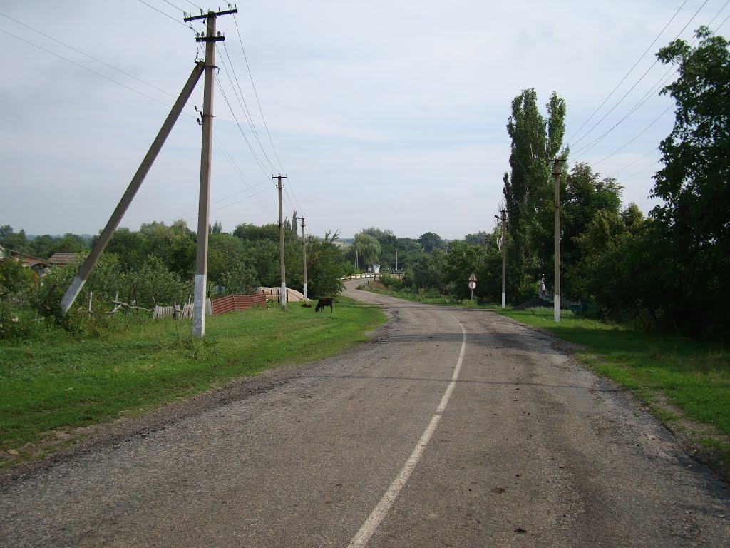 Вишнювате з panoramio.com - Вишневатое