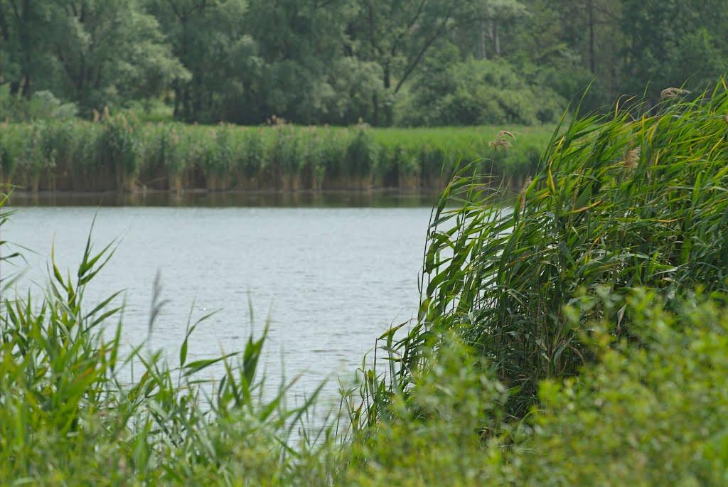 Богодухів з panoramio.com - Богодухов