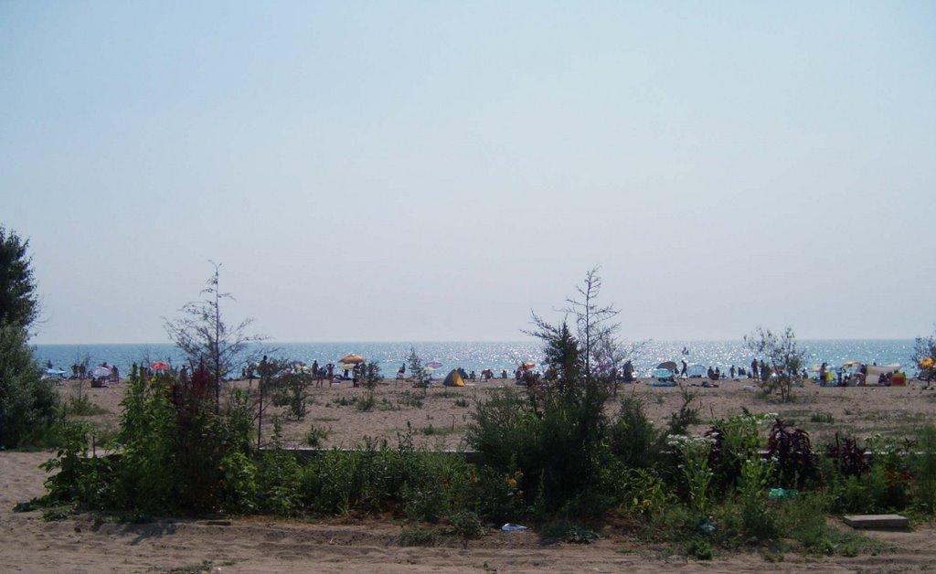 Осипенко з panoramio.com - Осипенко
