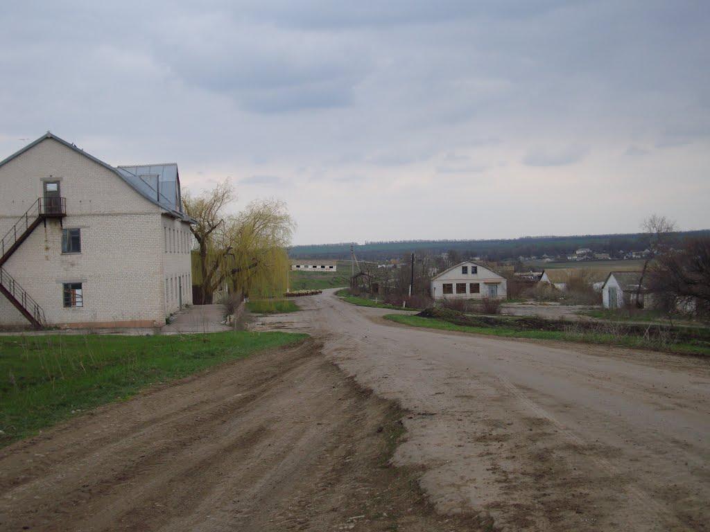 Веселоіванівське з panoramio.com - Веселоивановское