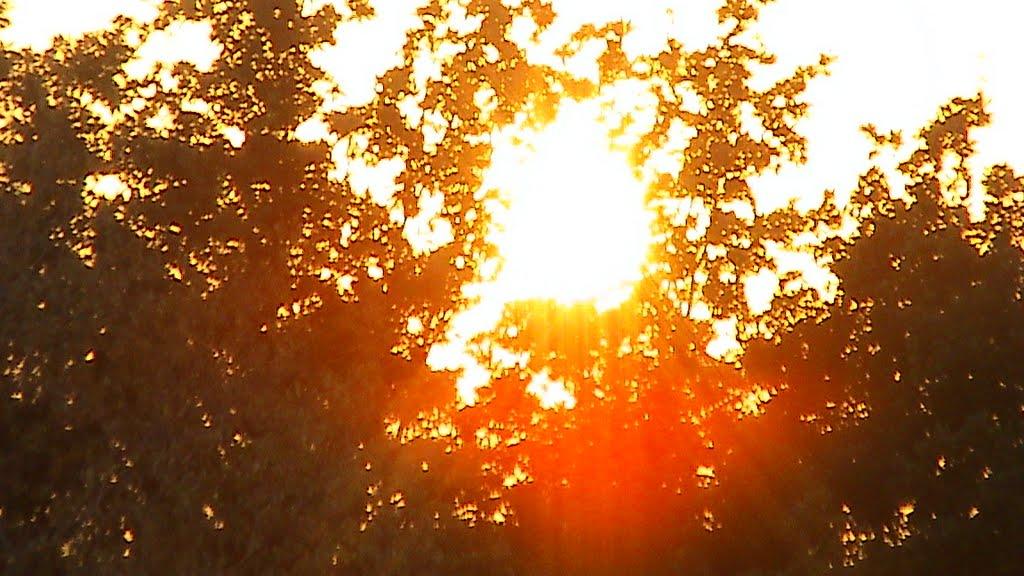 Куземівка з panoramio.com - Куземівка