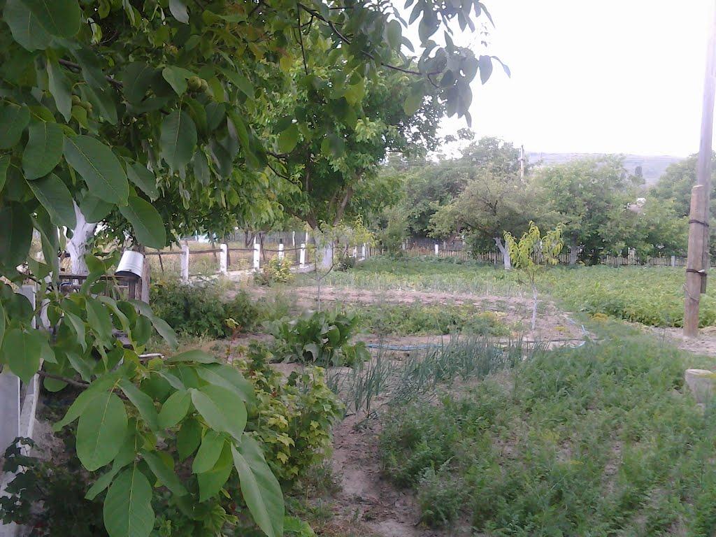 Багате з panoramio.com - Багате