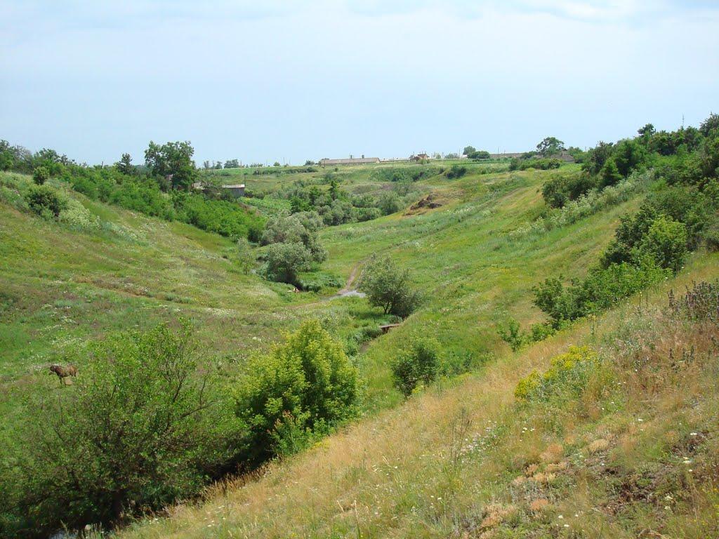 Побузьке з panoramio.com - Pobuzke
