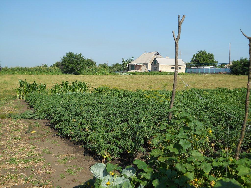 Микільське з panoramio.com - Mykilske
