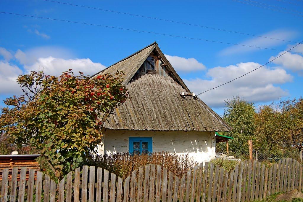 Велика Ведмежка з panoramio.com - Велика Ведмежка